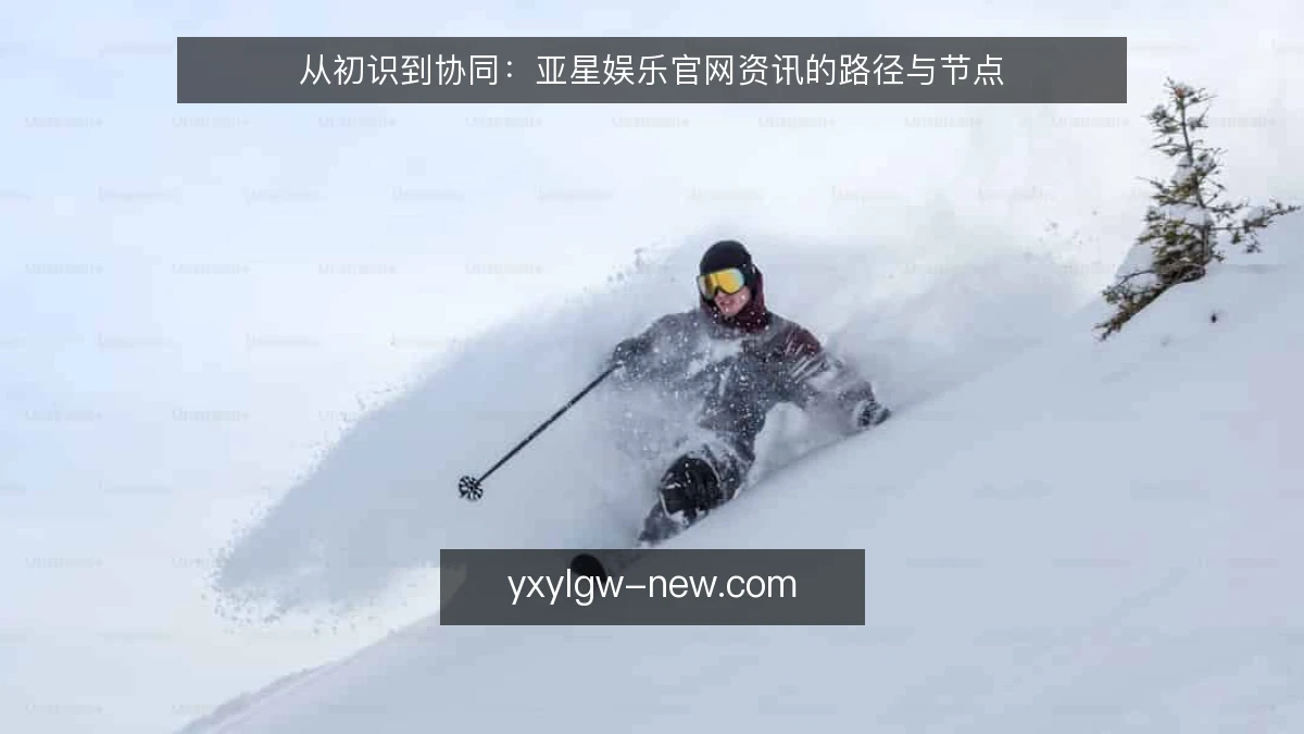 从初识到协同：亚星娱乐官网资讯的路径与节点