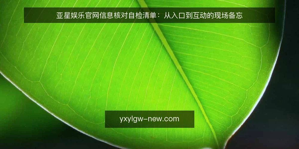 亚星娱乐官网信息核对自检清单:从入口到互动的现场备忘 — 信号观察:先看哪些入口与提示 配图