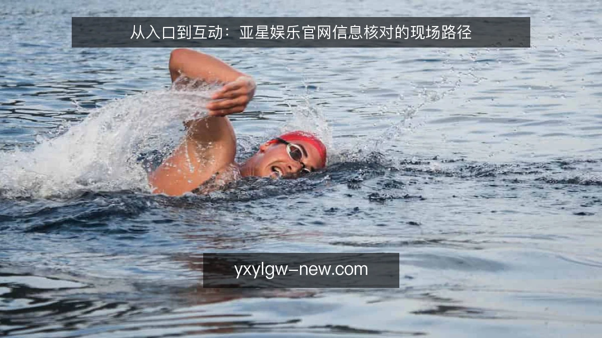 从入口到互动:亚星娱乐官网信息核对的现场路径