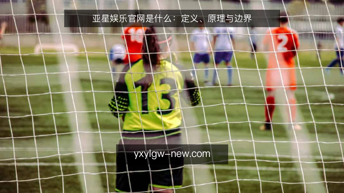 亚星娱乐官网是什么:定义、原理与边界