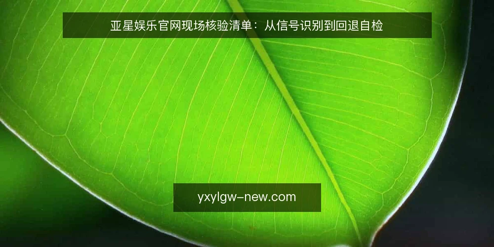 亚星娱乐官网现场核验清单：从信号识别到回退自检 — 现场信号：哪些迹象值得盯住 配图